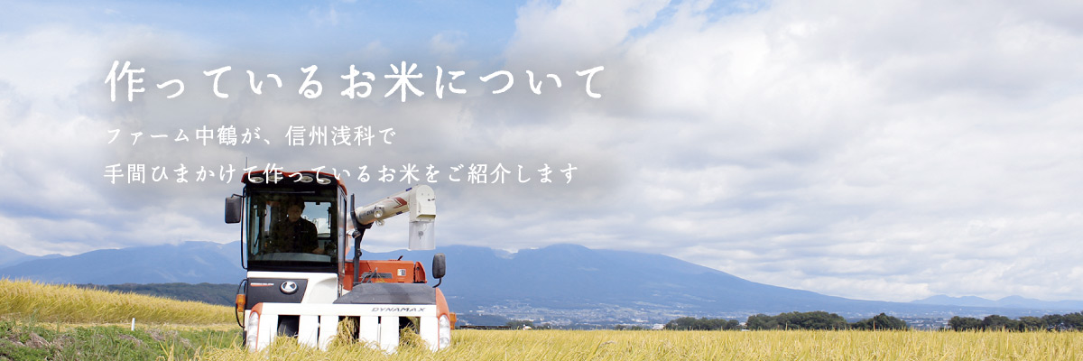 作っているお米について：ファーム中鶴は、信州浅科で手間ひまかけてお米を作っています。