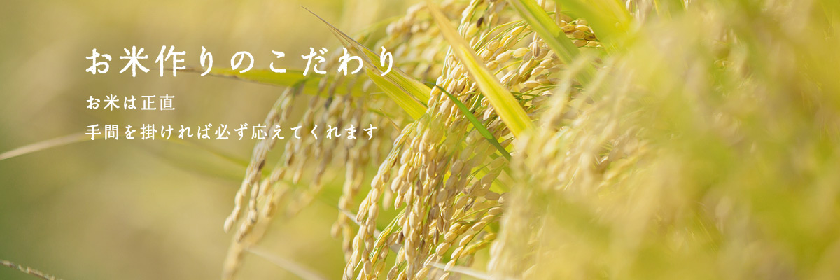 お米づくりのこだわり：お米は正直。手間を掛ければかならず応えてくれます。