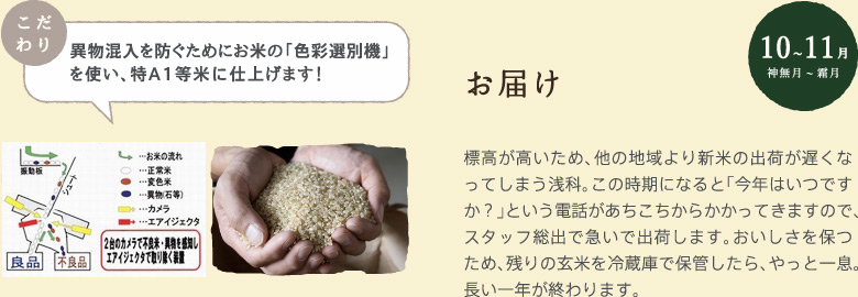 11月　お届け：標高が高いため、他の地域より新米の出荷が遅くなってしまう浅科。この時期になると「今年はいつですか？」という電話があちこちからかかってきますので、スタッフ総出で急いで出荷します。おいしさを保つため、残りの玄米を冷蔵庫で保管したら、やっと一息。長い一年が終わります。【異物混入を防ぐためにお米の「色彩選別機」を使い、特A1等米に仕上げます！】