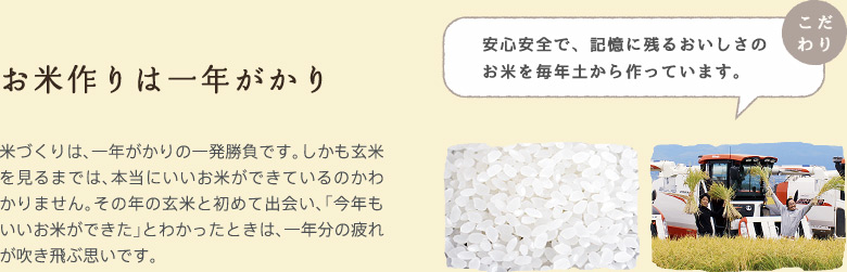 お米づくりは1年がかり：米づくりは、一年がかりの一発勝負です。しかも玄米を見るまでは、本当にいいお米ができているのかわかりません。その年の玄米と初めて出会い、「今年もいいお米ができた」とわかったときは、一年分の疲れが吹き飛ぶ思いです。【安心安全で、記憶に残るおいしさのお米を毎年土から作っています。】
