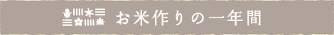 お米づくりの1年間