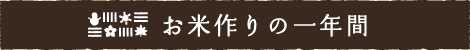 お米づくりの1年間