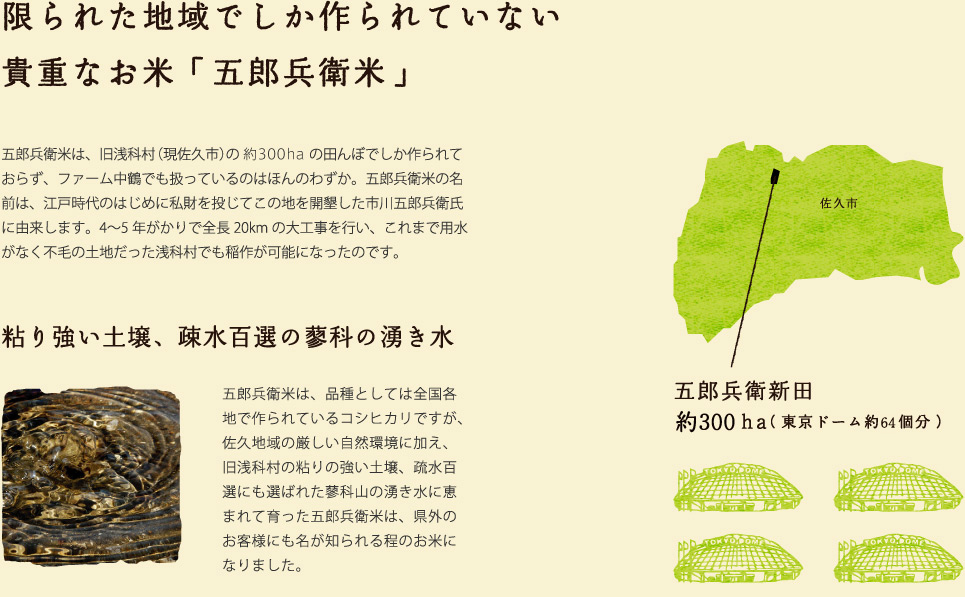 五郎兵衛米は、旧浅科村(現佐久市)の19.15haの田んぼでしか作られておらず、ファーム中鶴でも扱っているのはほんのわずか。五郎兵衛米の名前は、江戸時代のはじめに私財を投じてこの地を開墾した市川五郎兵衛氏に由来します。4〜5年がかりで全長20kmの大工事を行い、これまで用水がなく不毛の土地だった浅科村でも稲作が可能になったのです。五郎兵衛米は、品種としては全国各地で作られているコシヒカリですが、佐久地域の厳しい自然環境に加え、旧浅科村の粘りの強い土壌、疏水百選にも選ばれた蓼科山の湧き水に恵まれて育った五郎兵衛米は、県外のお客様にも名が知られる程のお米になりました。